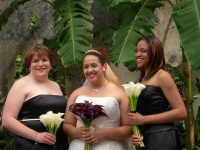 The Girls.jpg